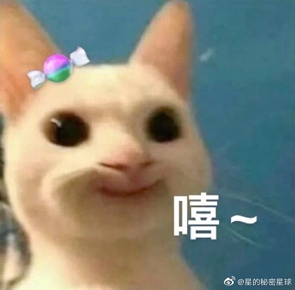 猫图片|宠物猫|猫咪|